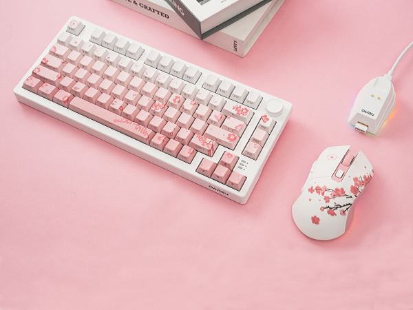 wireless keyboard and mouse
