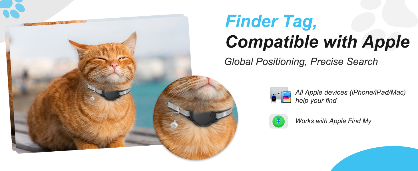 GPS COLLAR CAT