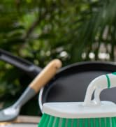 Scrub Brush