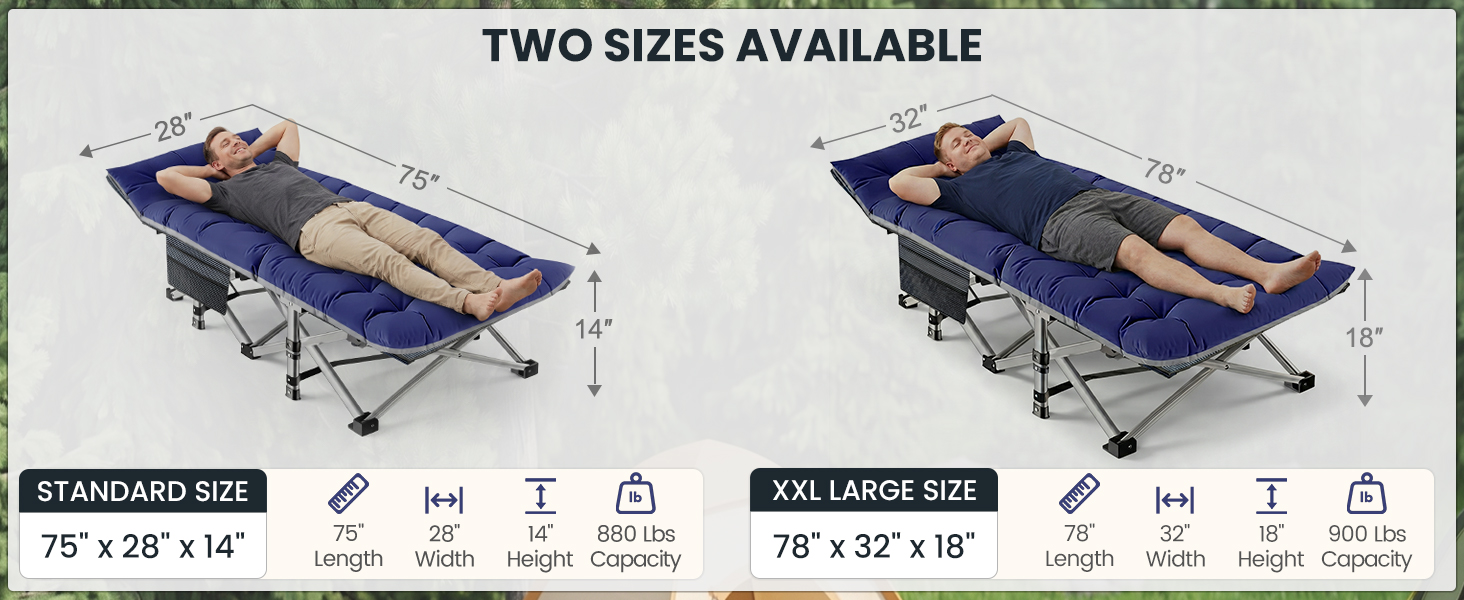 Cot