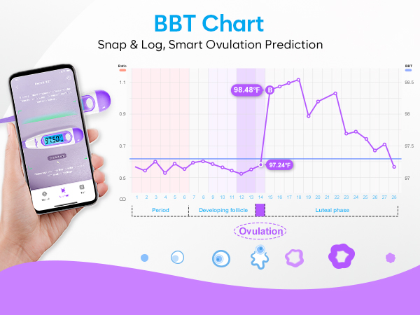 bbt thermometer for ovulation