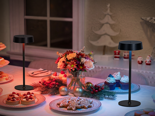 battery operated table lamp