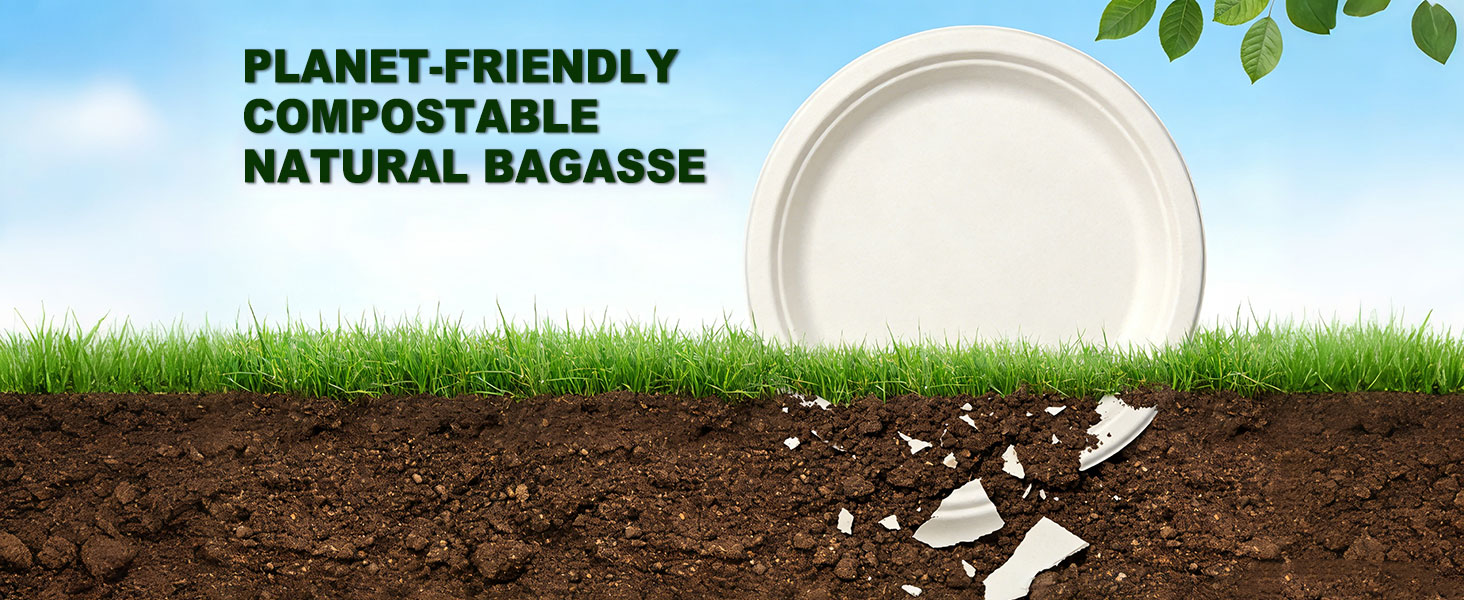 Disposable Biodegradable Paper Plates