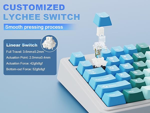 AK980 V2 Pro Wireless Mechanical Keyboard