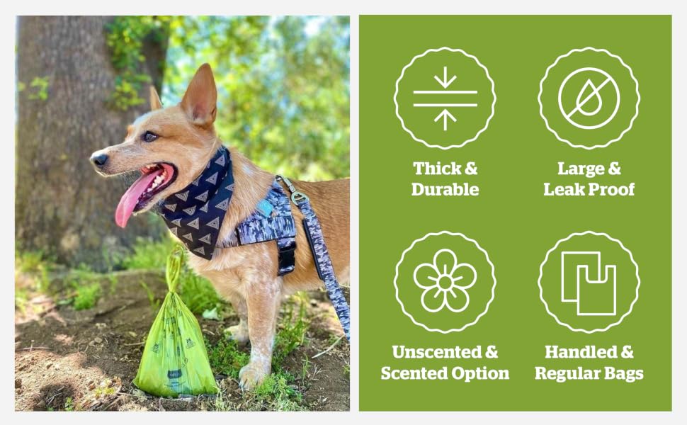 Pogi's Pet Supplies Poop Bags
