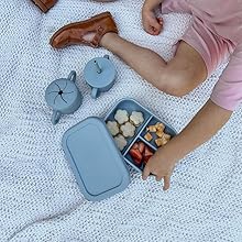 blueberry, snack, bento box