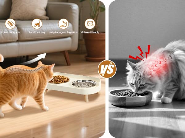 raised cat bowls for indoor cats
