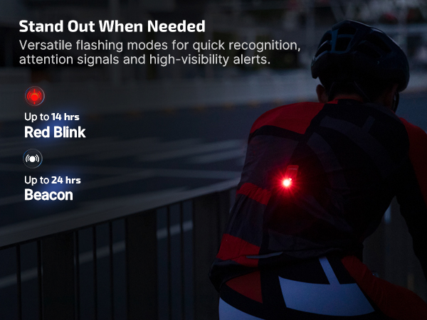 Flashing Modes