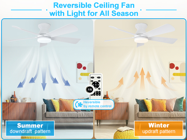 black ceiling fan