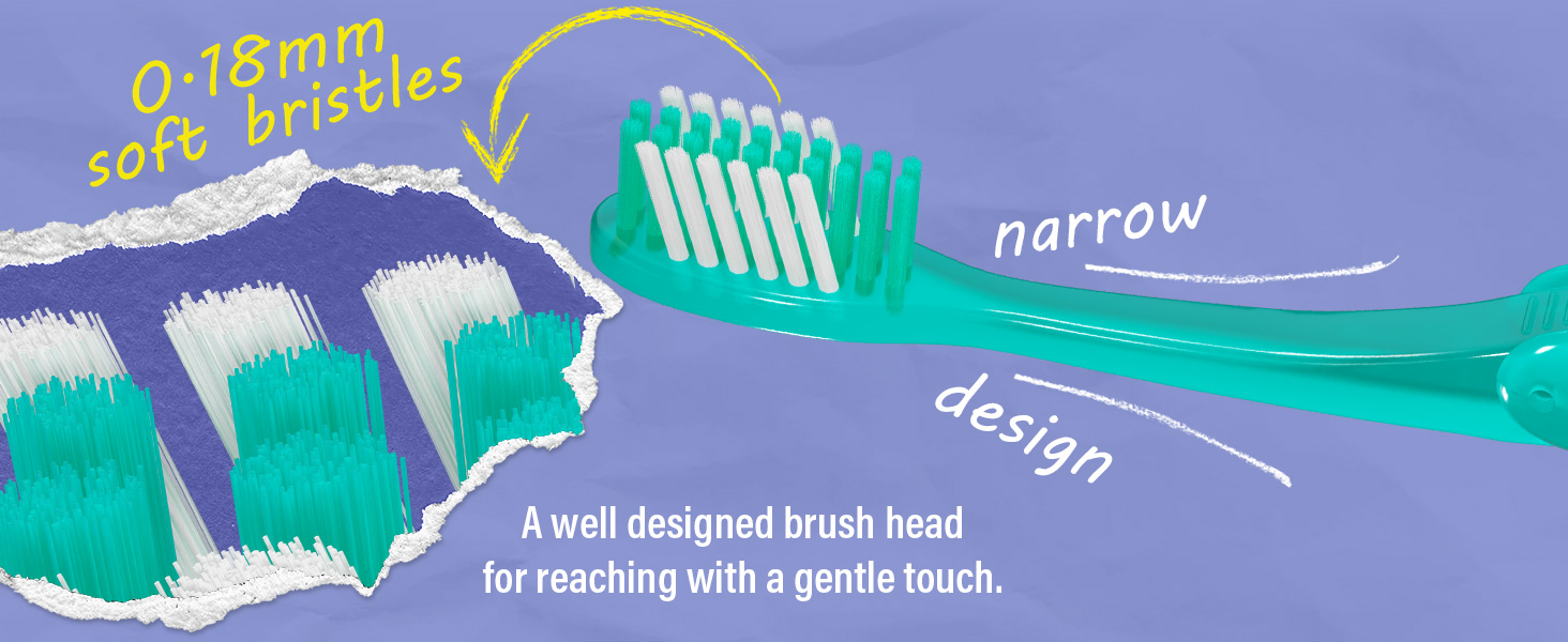 Folding Toothbrush & Toothpaste