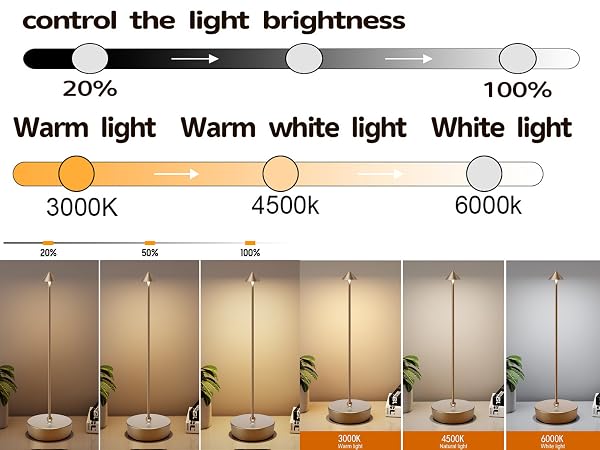 Cordless Table Lamp