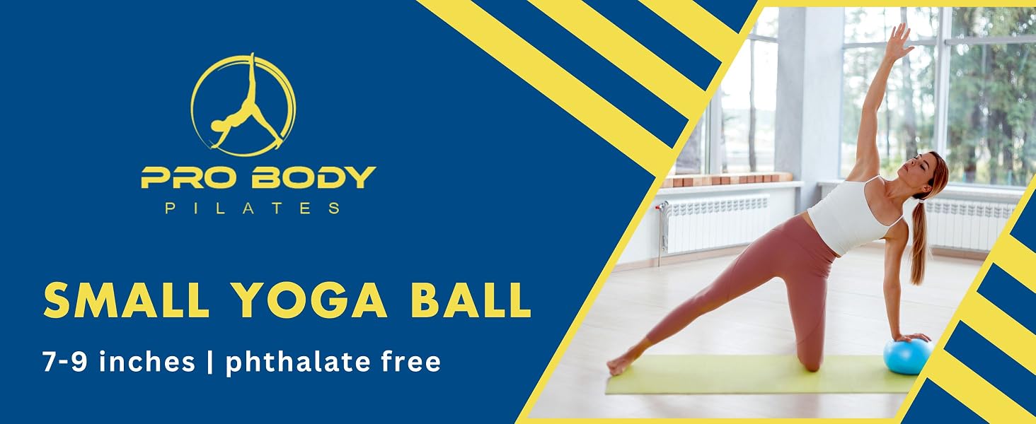 exercise balls accessories exercise ball working out silver sneaker exercise ball pilate ball bag