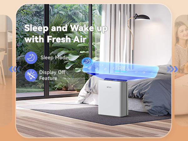 air purifiers for home large room
