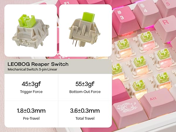 Mechanical Gaming Keyboard