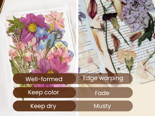 Flower Press Kit