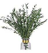 HIAGROW Real Eucalyptus Stems Greenery Decor 20PCS 16" Dried Willow Eucalyptus Plant Preserved Gr...
