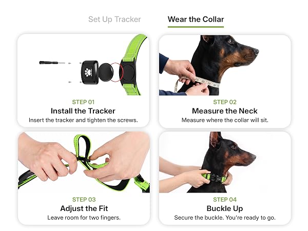 Install tracker measure dog neck adjust fit and buckle the MYIWB tracking collar four steps