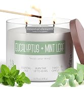 Candle-lite Essential Elements Scented Candles, Eucalyptus & Mint Leaf, 14.75 oz Jar, Proudly Pou...
