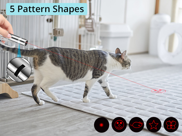 cat lights