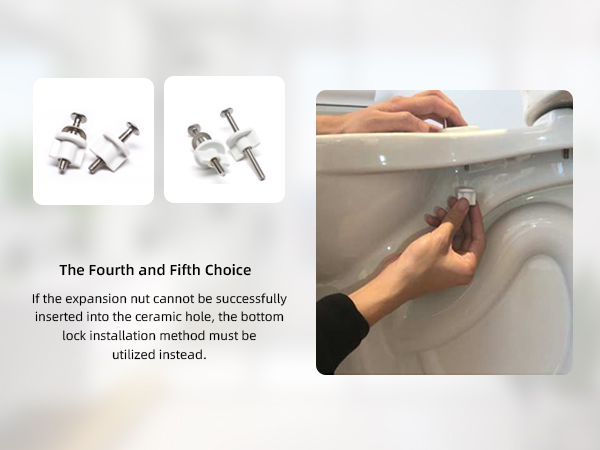 toilet seat screw and bolts