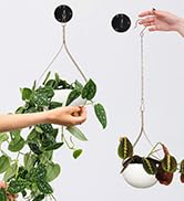 Ceilling hooks