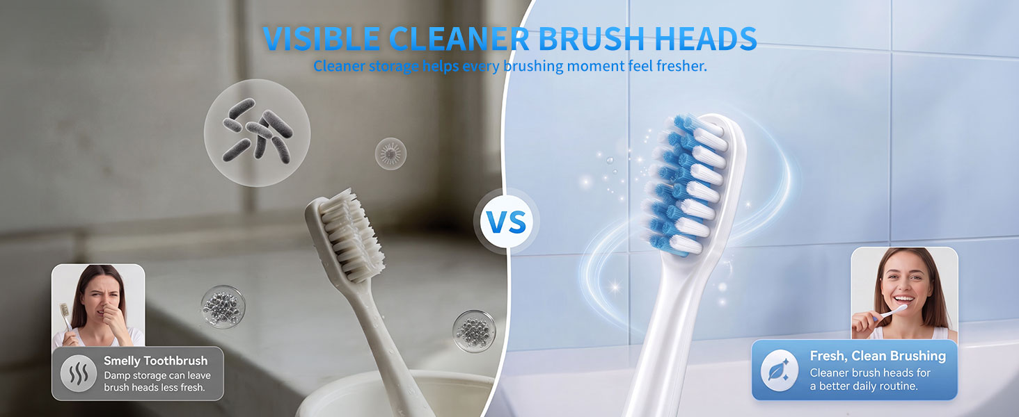 Toothbrush holder