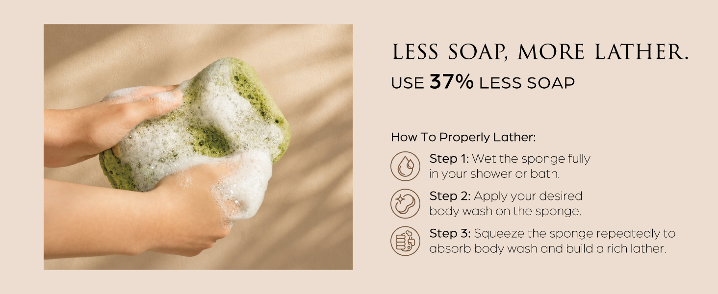 loofah sponge