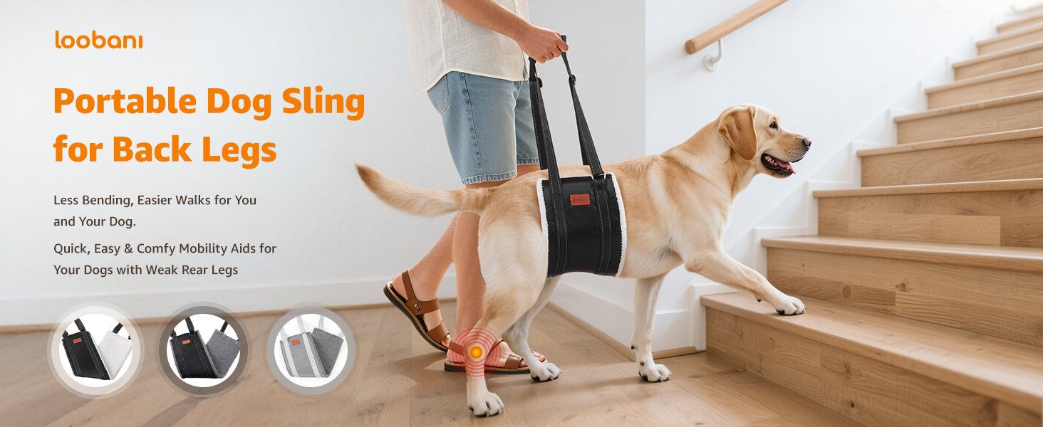 dog sling