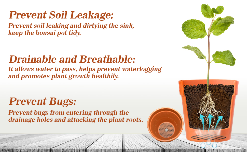 houseplant accessories