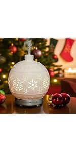 https://m.media-amazon.com/images/S/aplus-media-library-service-media/118f13ee-7f63-4e5f-a09a-b484eb1c09a8.__AC_SR150,300___.jpg