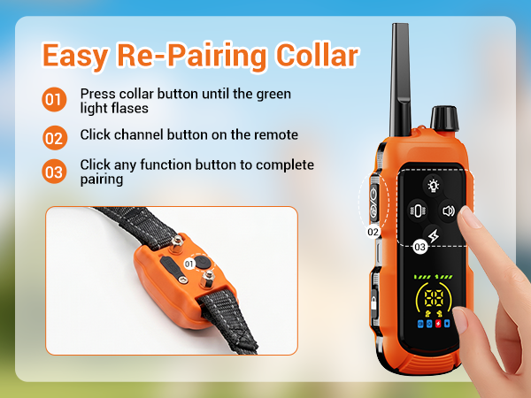 dog training collar with remote