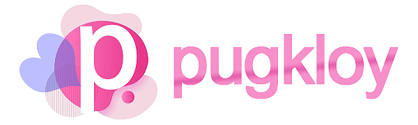 pugkloy birthday decorations