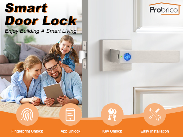 smart nickel door handle