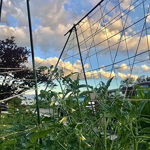twine for gardening