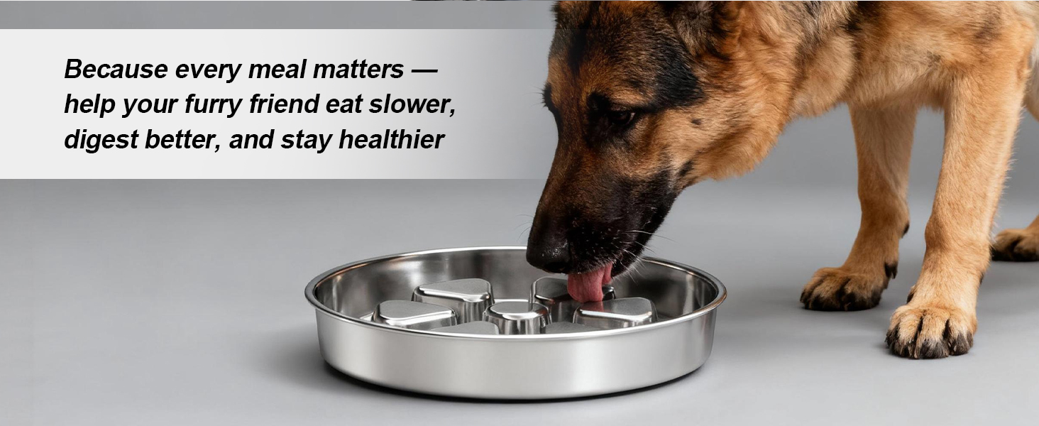 slow water bowl for dogs