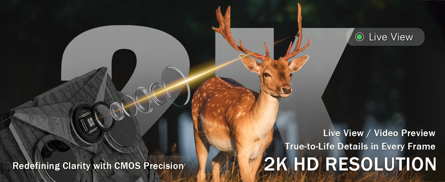 cellular trail cameras
