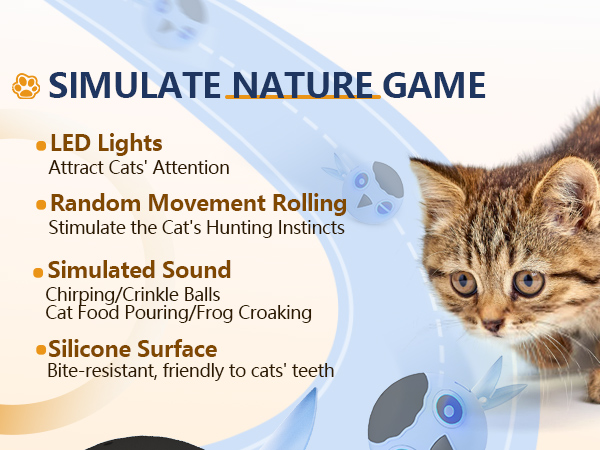 cat toys