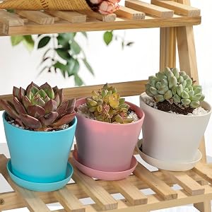 planter pots