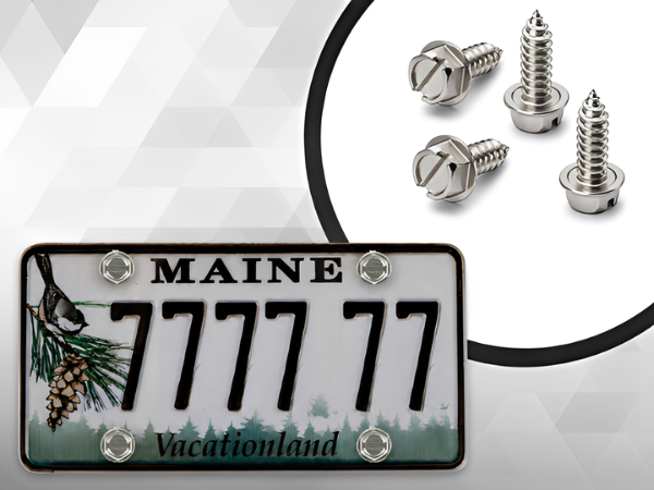 Slotted Stainless Screws