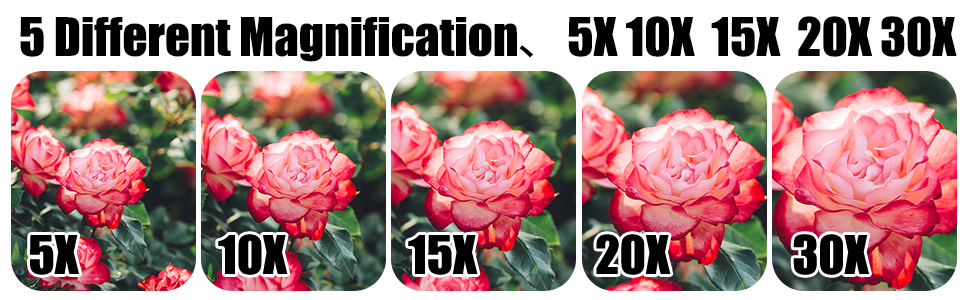5 Different Magnification