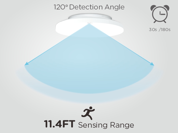 motion sensor light