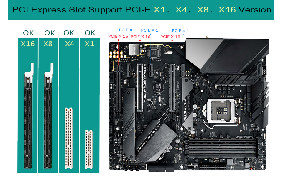 PCI-E X16,X8,X4,X1