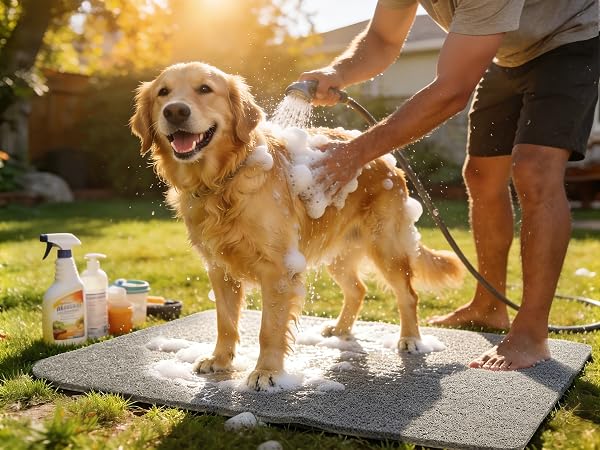 pet mat
