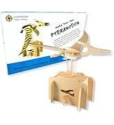 Make Your own Teranodon