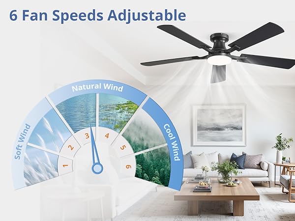 ceiling fan