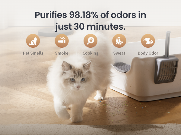 Air Purifier