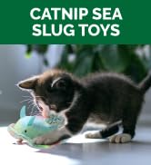 catnip slug cat toy kitten furhaven
