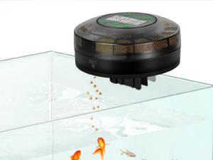 FISH FEEDER