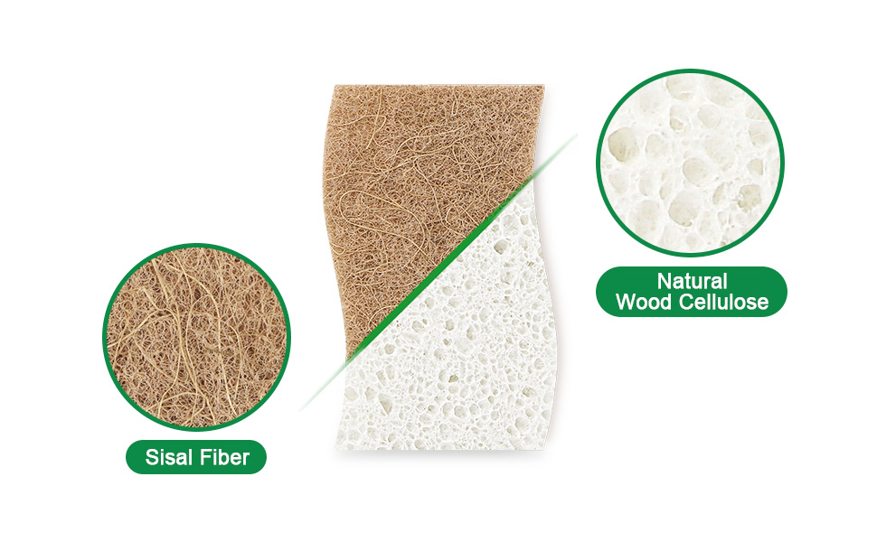 Sponges