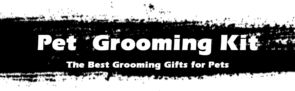 cat brush for shedding